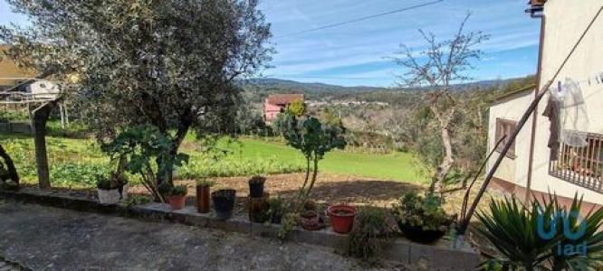 Acheter Terrain Figueiro-dos-vinhos rgion LEIRIA