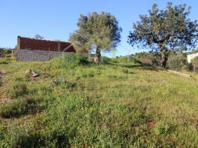 Annonce Vente Terrain Loule