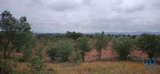 Annonce Vente Terrain Cercal-do-alentejo