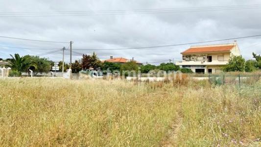 Acheter Terrain Loule rgion FARO