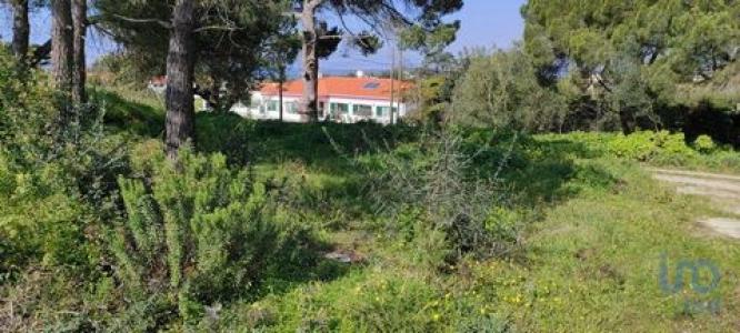 Annonce Vente Terrain Sesimbra