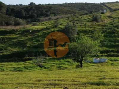 Acheter Terrain 16480 m2 Castro-marim