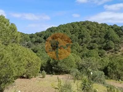 Annonce Vente Terrain Castro-marim