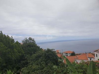 Acheter Maison Funchal rgion MADEIRA