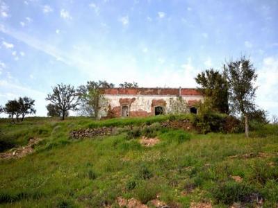 Annonce Vente Terrain Loule