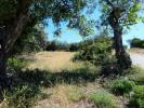 Acheter Terrain 1440 m2 LOULE