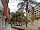 Location Local commercial OEIRAS 2780
