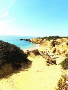 Annonce Location Appartement Albufeira