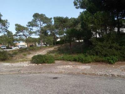 Annonce Vente Terrain Grandola