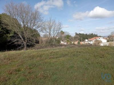 Vente Terrain Batalha BATALHA 10 au Portugal