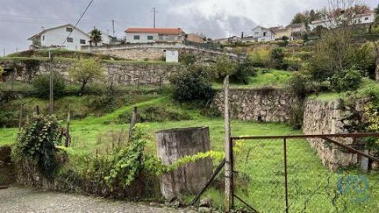 Vente Terrain Amarante AMARANTE-(SAO-GONAALO),-MADALENA,-CEPELOS-E-GATA 13 au Portugal