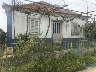 Vente Maison Alem-da-ribeira MADALENA-E-BESELGA 14 au Portugal