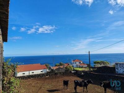 Acheter Maison Lajes-do-pico rgion ACORES