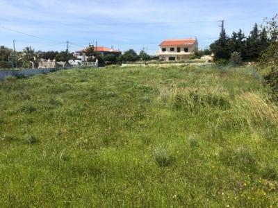 Acheter Terrain 3444 m2 Loule