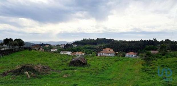 Acheter Terrain 9790 m2 Penafiel