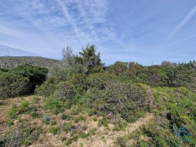 Acheter Terrain 7320 m2 Faro