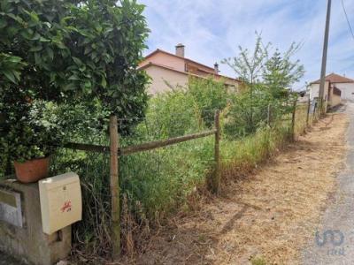 Annonce Vente Terrain Leiria