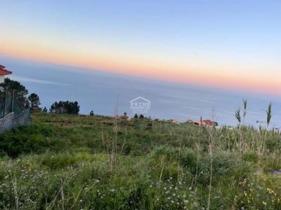 Acheter Terrain 5000 m2 Calheta