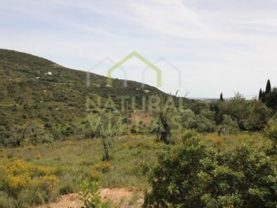 Annonce Vente Terrain Faro