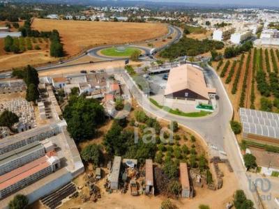 Acheter Terrain Tavira rgion FARO