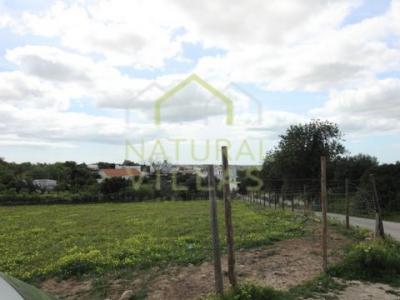 Acheter Terrain 6480 m2 Faro