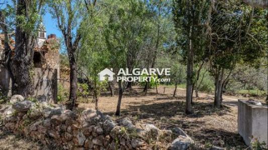 Annonce Vente Terrain Loule