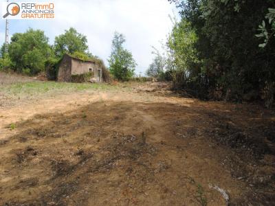 Annonce Vente Terrain Caldas-da-rainha