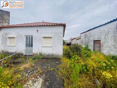 Acheter Maison 362 m2 Caldas-da-rainha