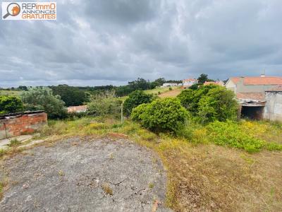 Acheter Maison Caldas-da-rainha 170000 euros