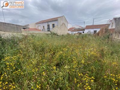 Acheter Terrain A-bidos 60000 euros