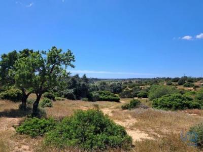 Annonce Vente Terrain Aldeia-da-bela-vista