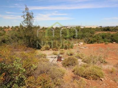 Acheter Terrain 21790 m2 Albufeira