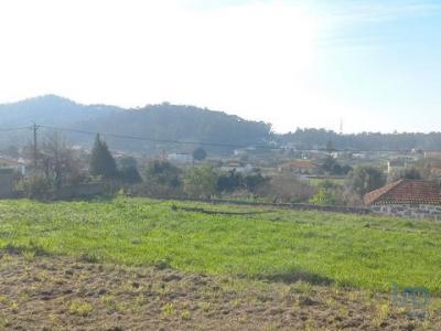 Acheter Terrain 400 m2 Barcelos