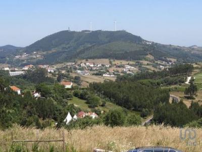 Acheter Terrain 10949 m2 Mafra