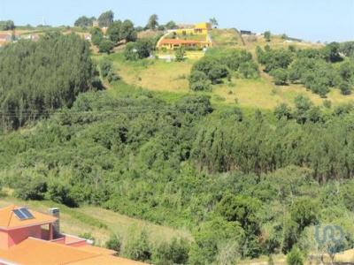 Acheter Terrain Mafra rgion LISBOA