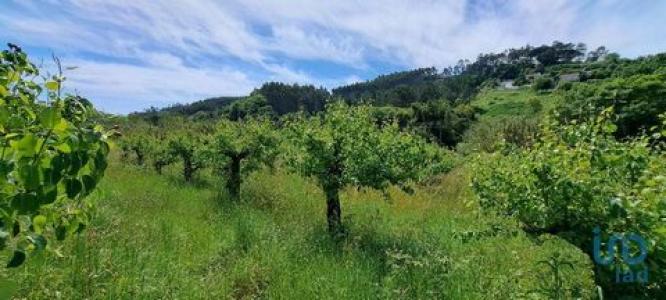 Acheter Maison Caldas-da-rainha rgion LEIRIA