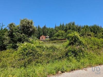 Acheter Maison Pedrogao-grande rgion LEIRIA