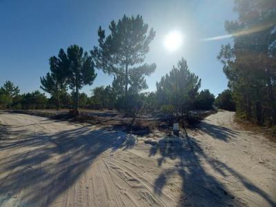 Vente Terrain Santiago-do-cacem  15 au Portugal