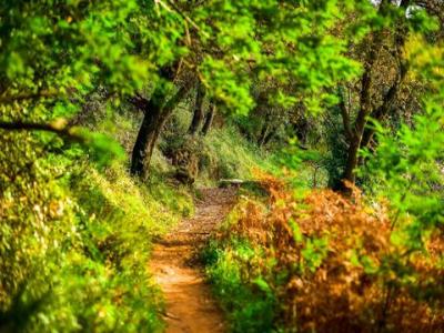 Acheter Terrain Sintra rgion LISBOA