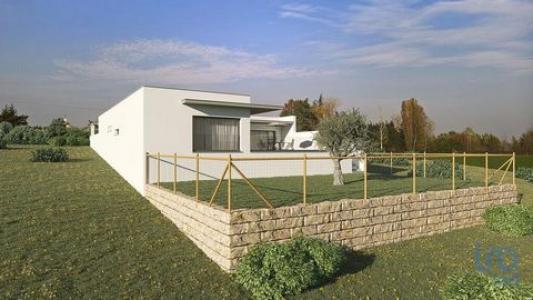 Annonce Vente Terrain Alcobaca