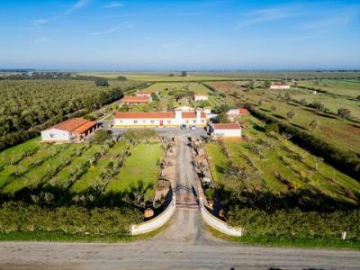 Annonce Vente Maison Ferreira-do-alentejo