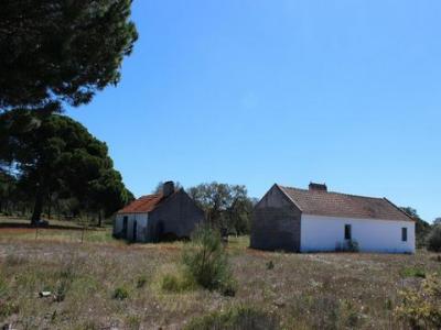 Acheter Maison Grandola rgion SETUBAL