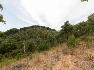 Annonce Vente Terrain Santiago-do-cacem