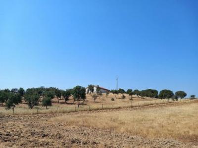 Acheter Maison Grandola rgion SETUBAL