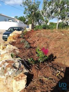 Annonce Vente Terrain Vila-do-bispo