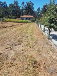 Acheter Terrain 1500 m2 Barcelos