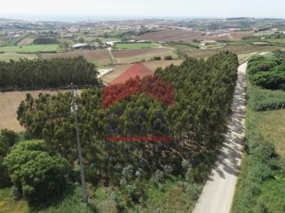 Acheter Terrain 5880 m2 Lourinha