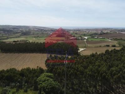 Acheter Terrain Lourinha rgion LISBOA