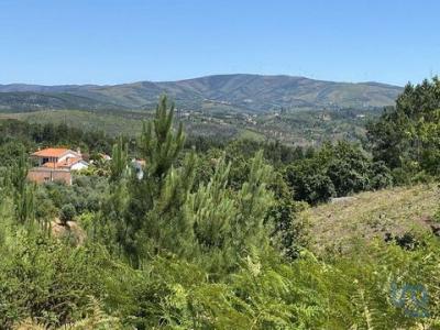 Annonce Vente Terrain Pedrogao-grande