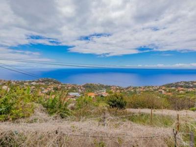 Acheter Maison Ponta-do-sol rgion MADEIRA